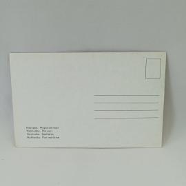 Картинка 2