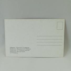 Картинка 2