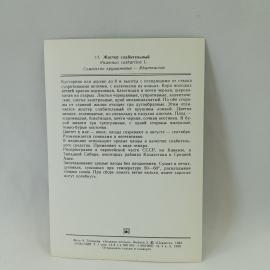 Картинка 2