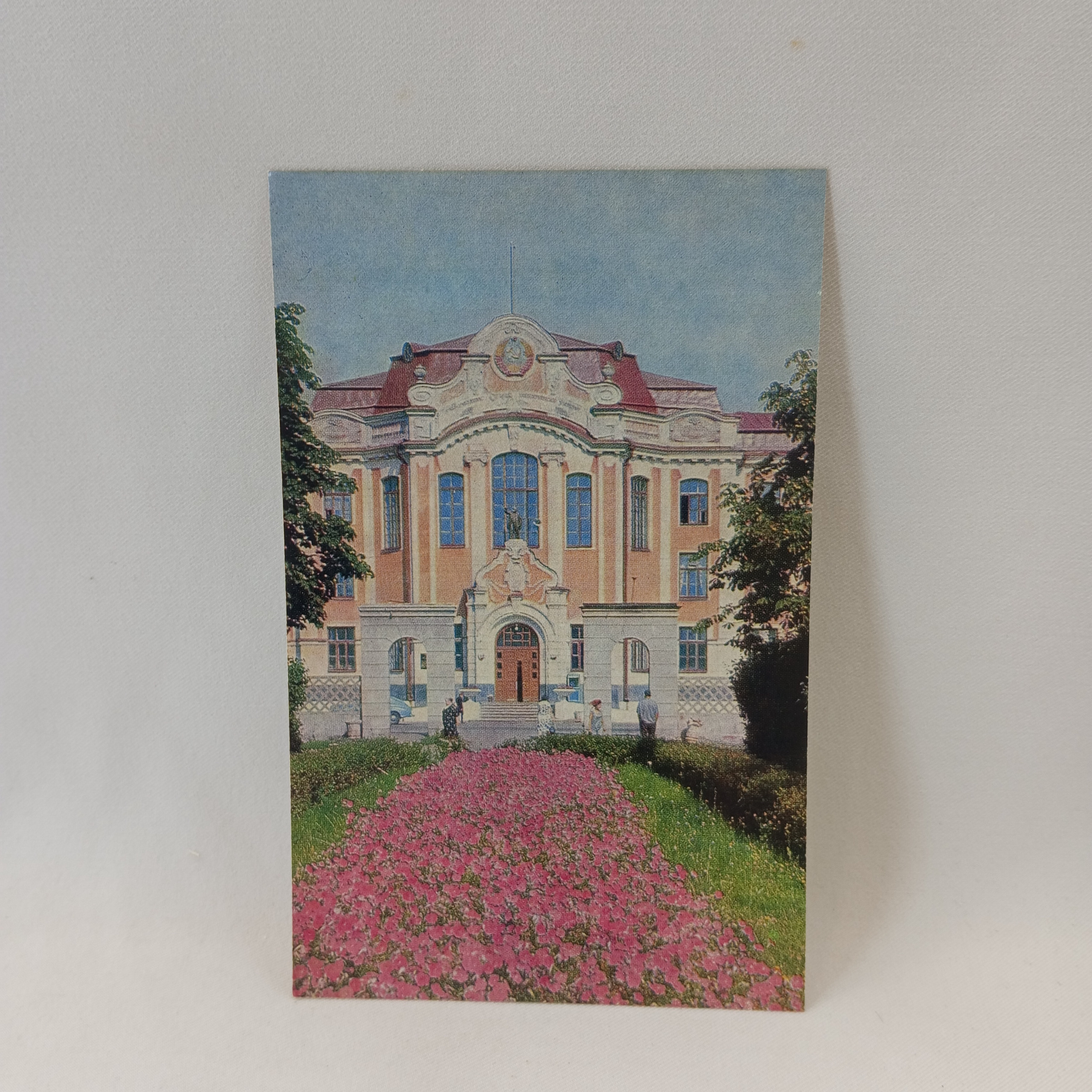 Картинка 1
