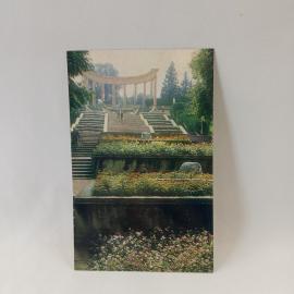 Открытка советская СССР. Каскадная лестница, парковая архитектура курорта, цветники. винтаж