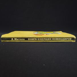 Картинка 2