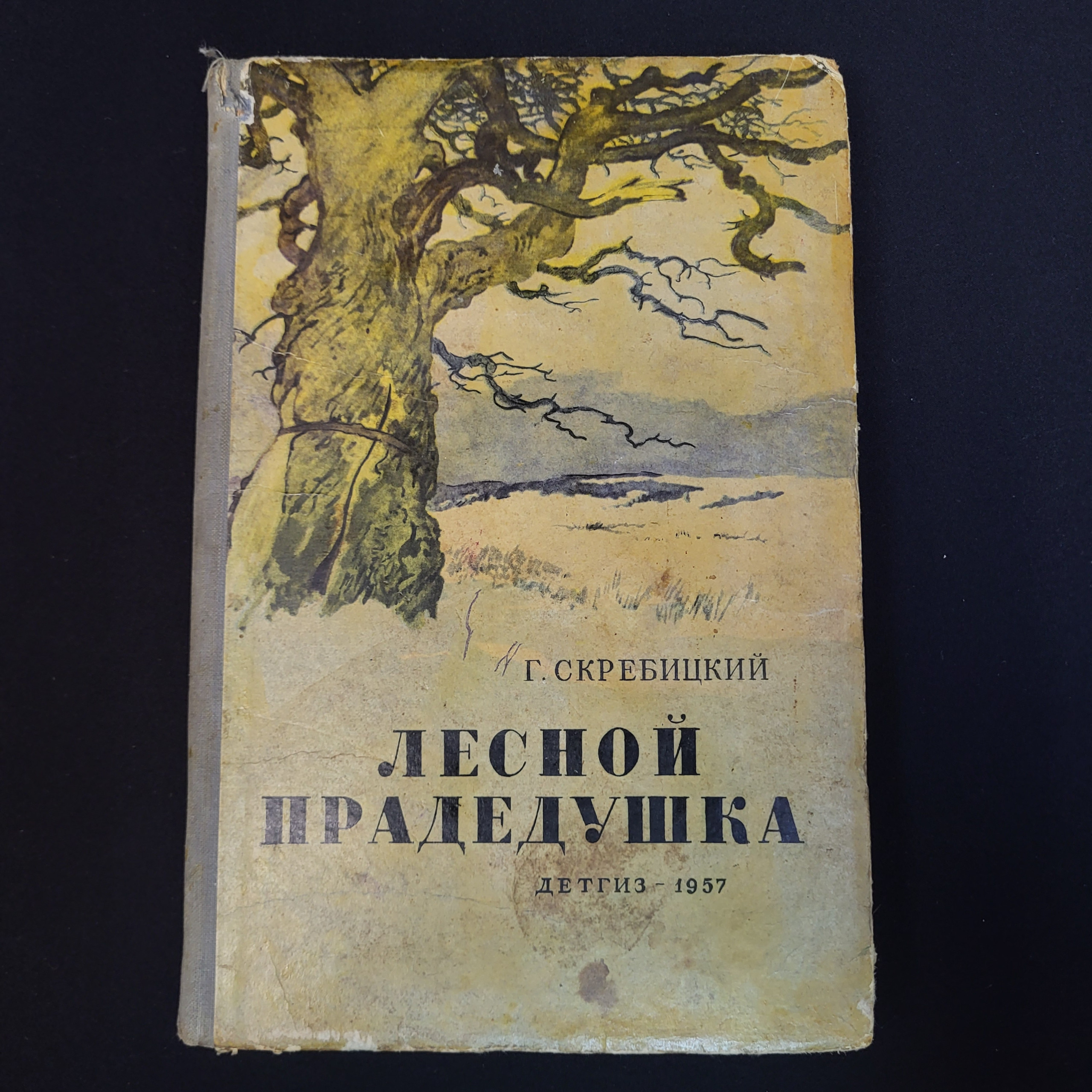 Картинка 1