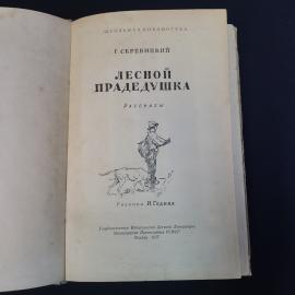 Картинка 4