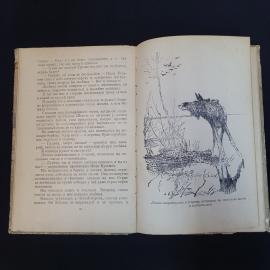 Картинка 6