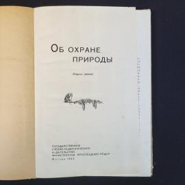 Картинка 4