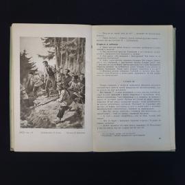 Картинка 6