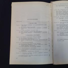 Картинка 5