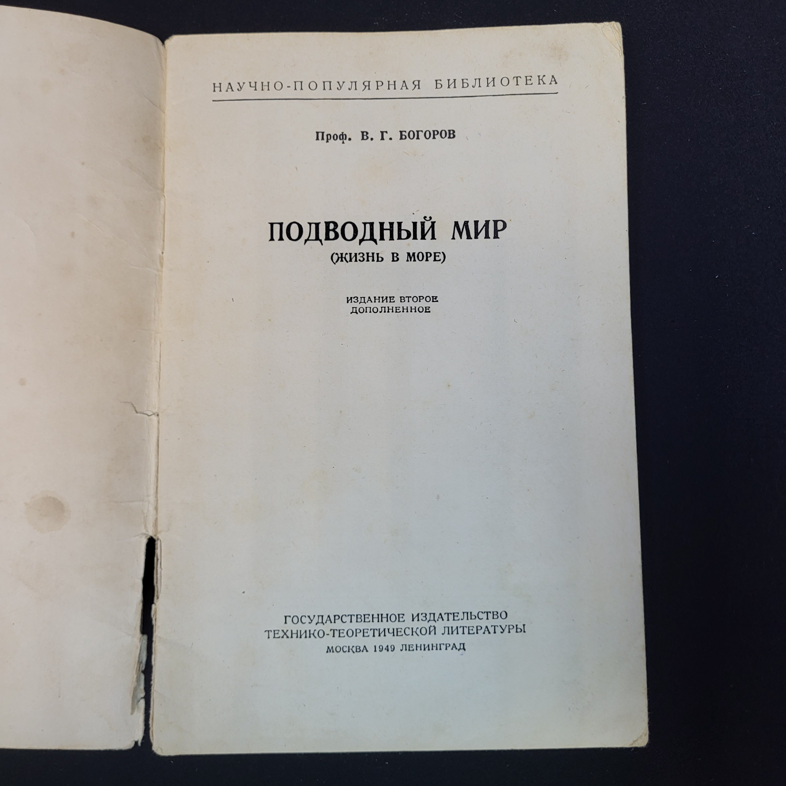 Картинка 3
