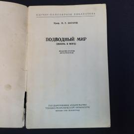 Картинка 3