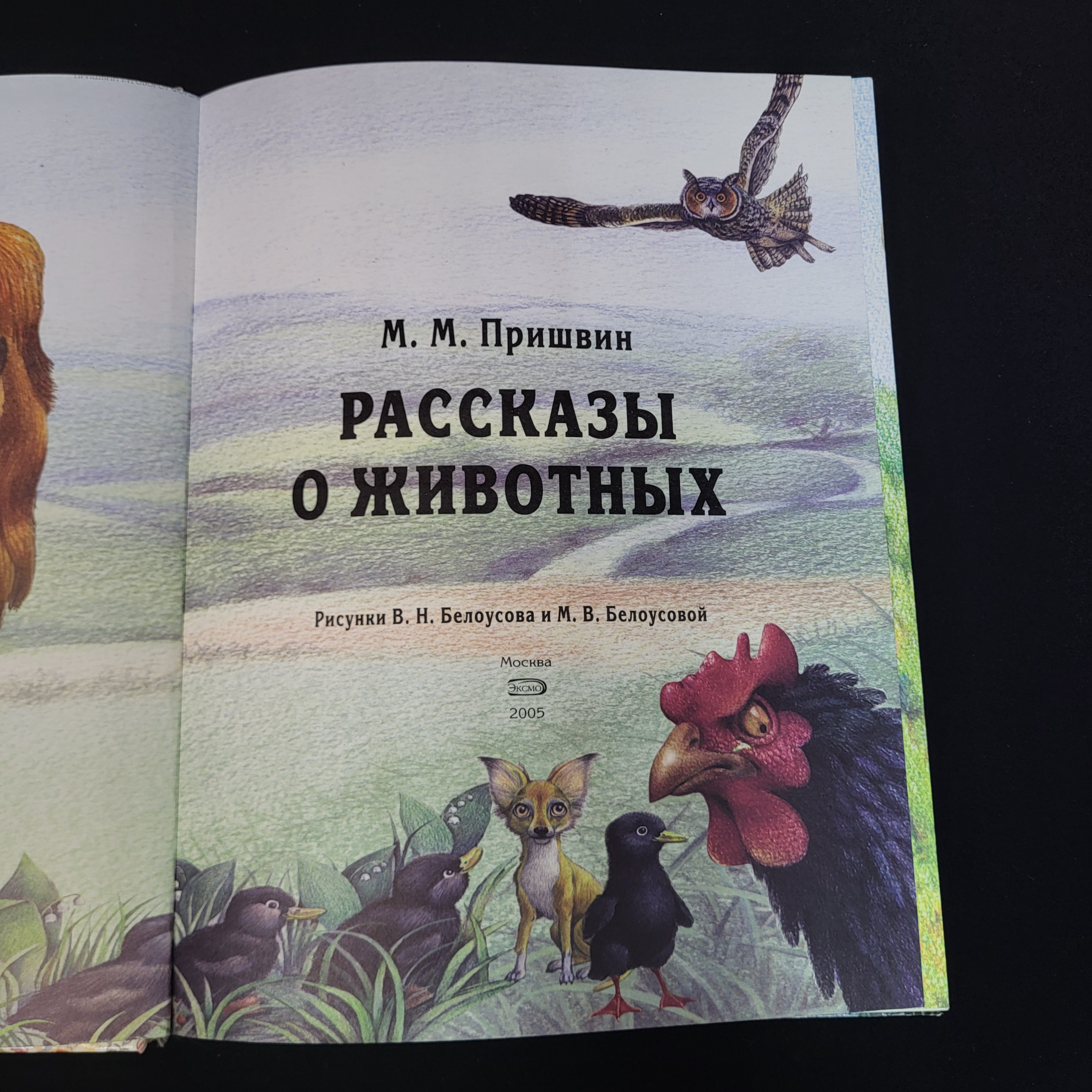 Картинка 4