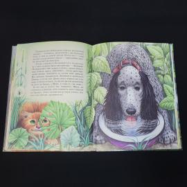 Картинка 6