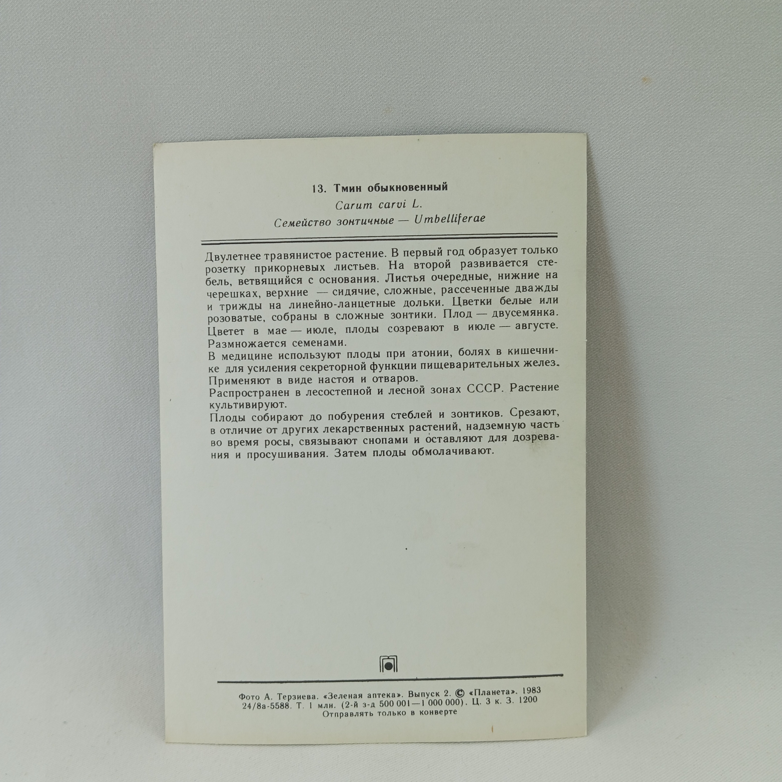 Картинка 2