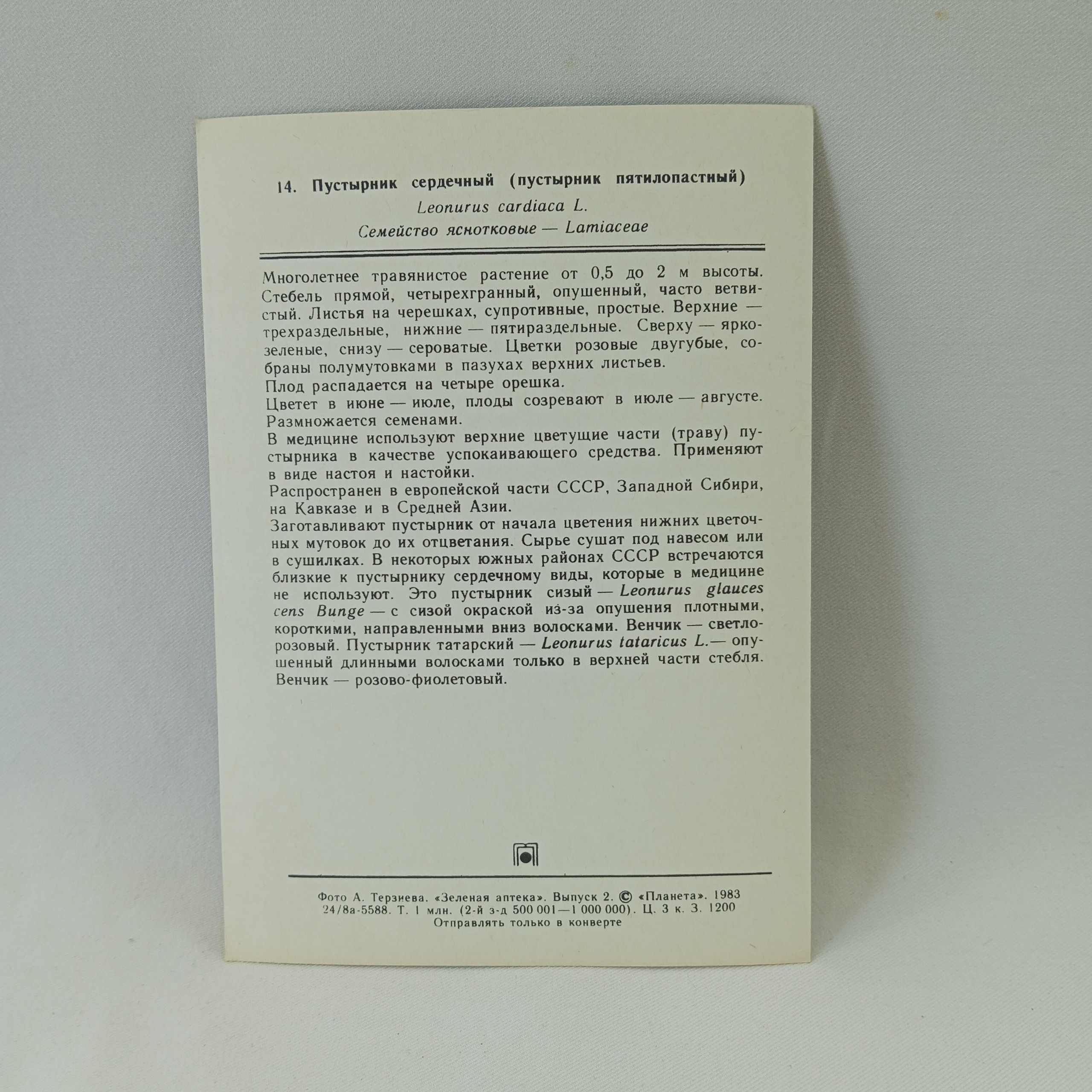 Картинка 2
