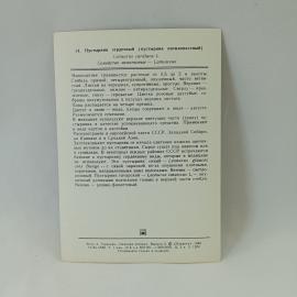 Картинка 2