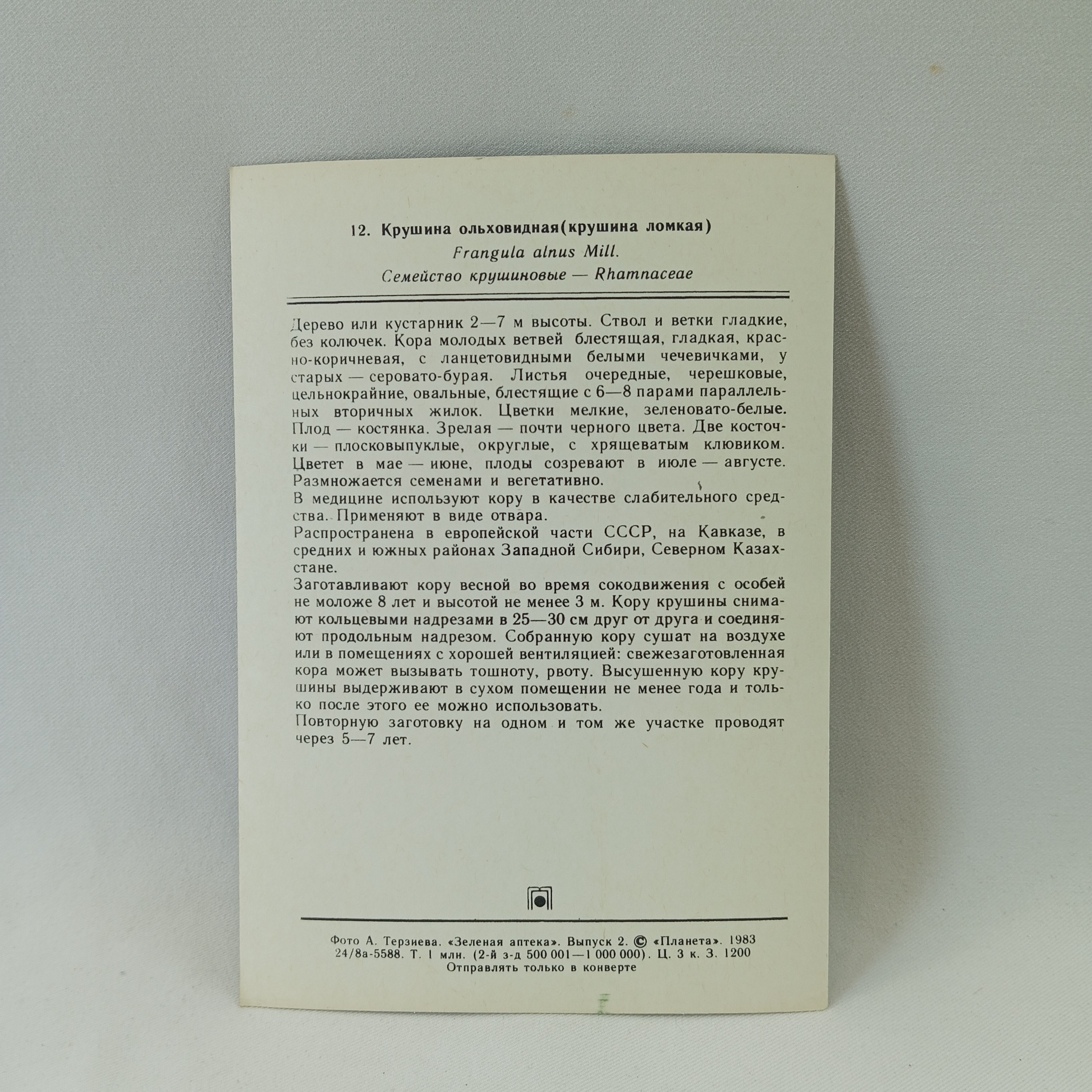 Картинка 2