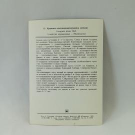 Картинка 2