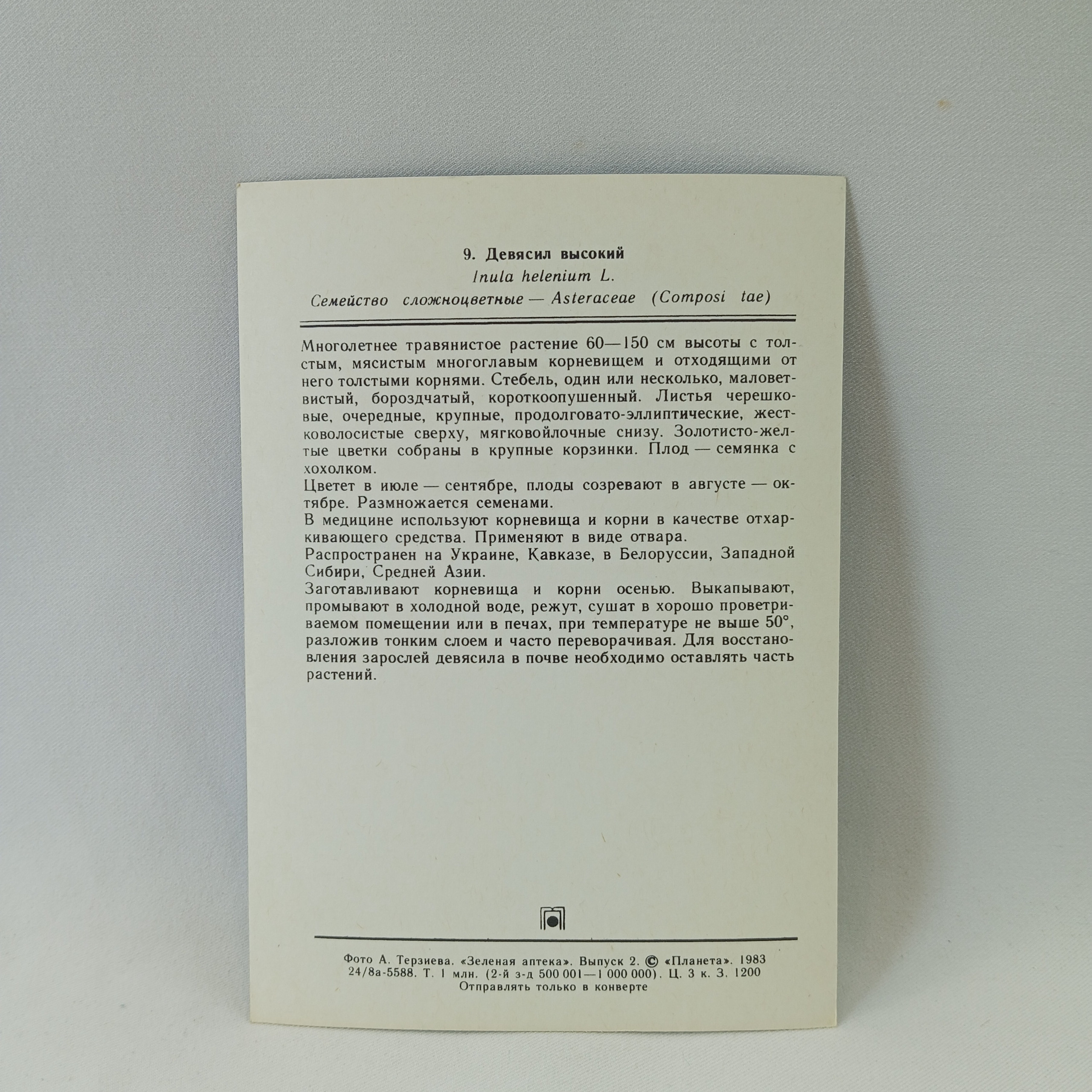 Картинка 2