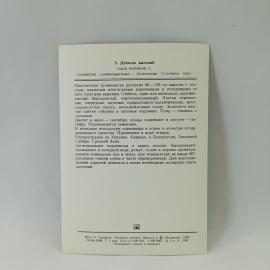 Картинка 2