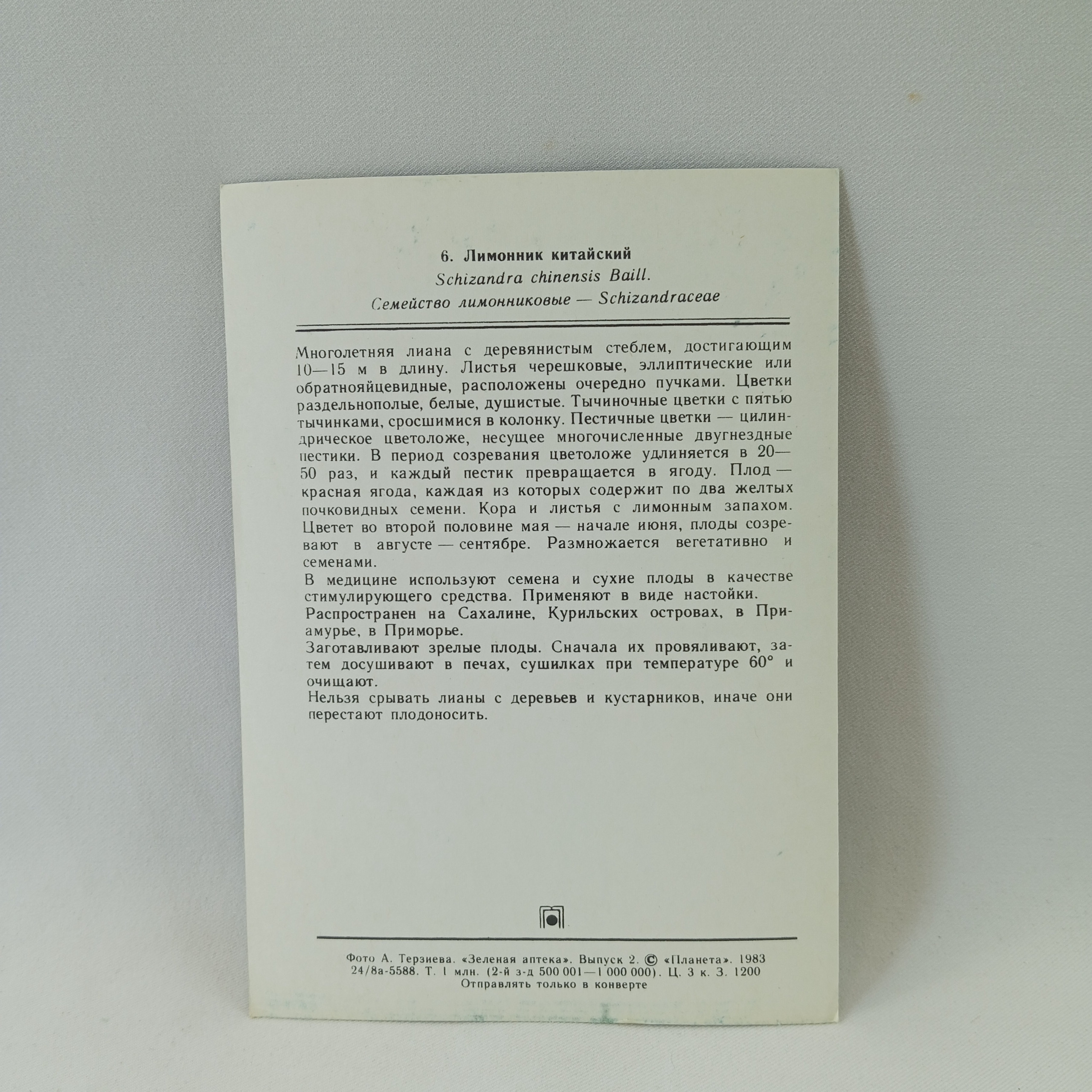 Картинка 2