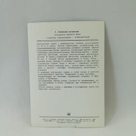 Картинка 2