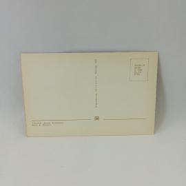 Картинка 2