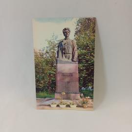 Картинка 1