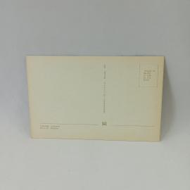 Картинка 2