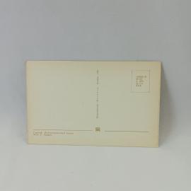 Картинка 2