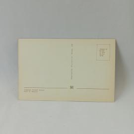 Картинка 2