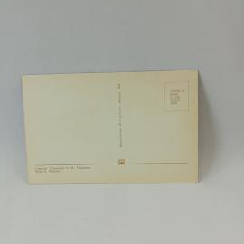 Картинка 2