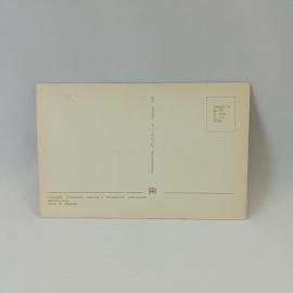 Картинка 2