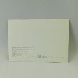 Картинка 2