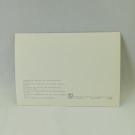 Картинка 2