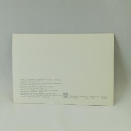Картинка 2