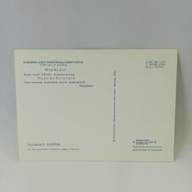 Картинка 2