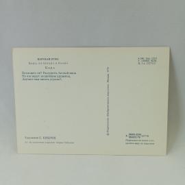 Картинка 2