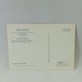 Картинка 2