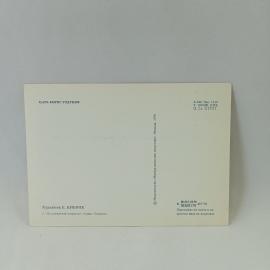 Картинка 2