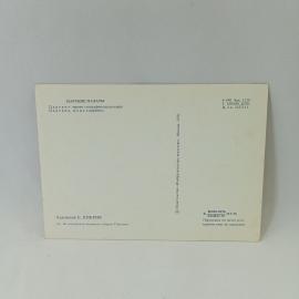 Картинка 2
