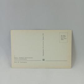 Картинка 2