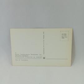 Картинка 2