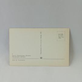 Картинка 2