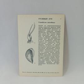 Картинка 2