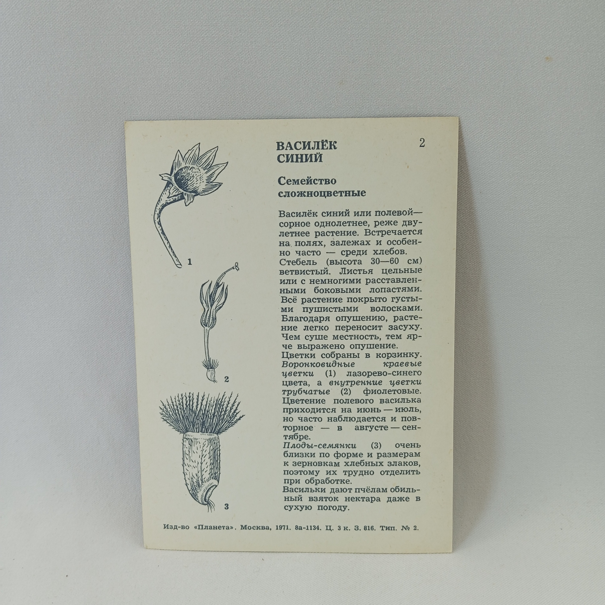 Картинка 2