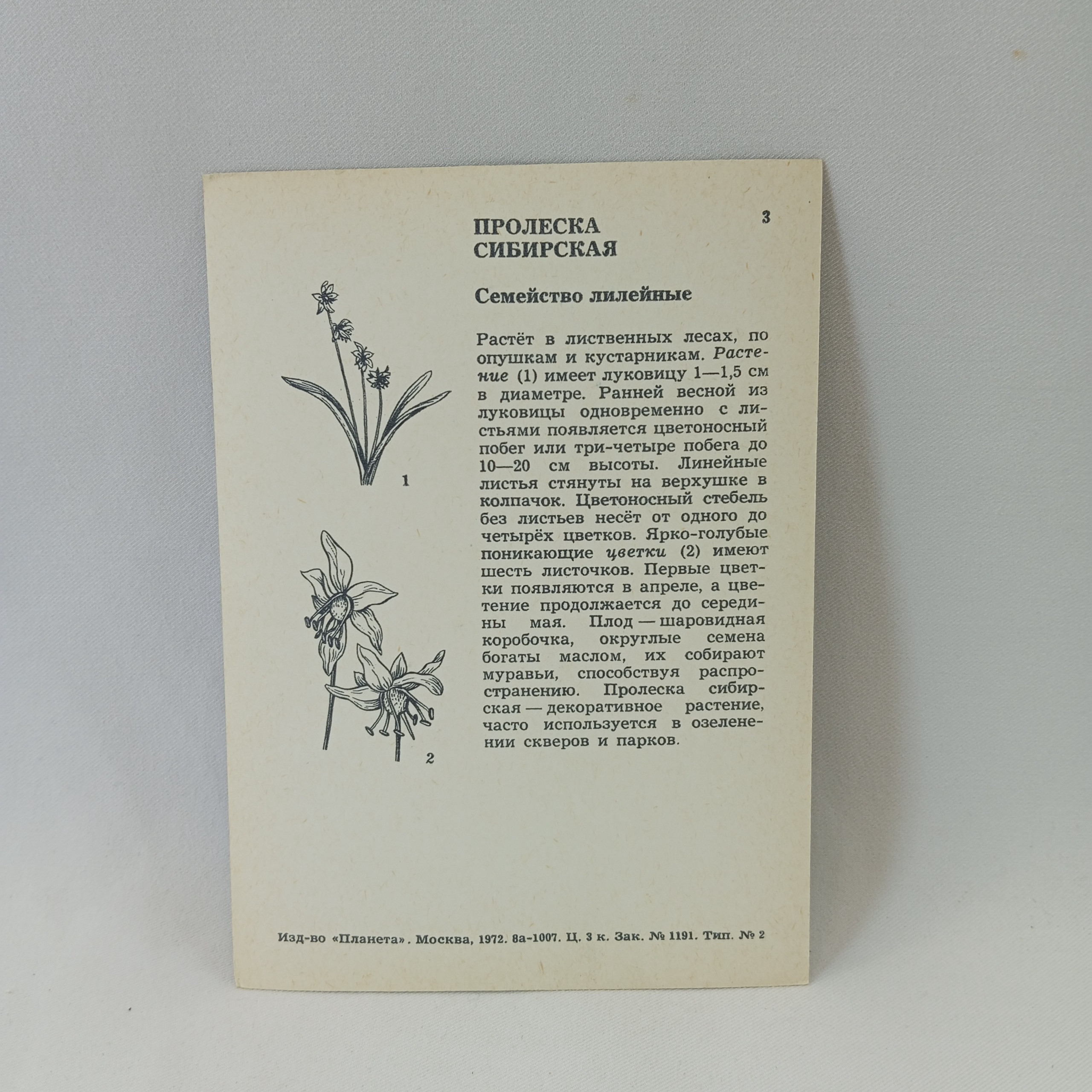 Картинка 2