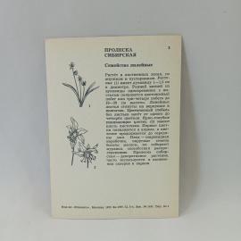 Картинка 2