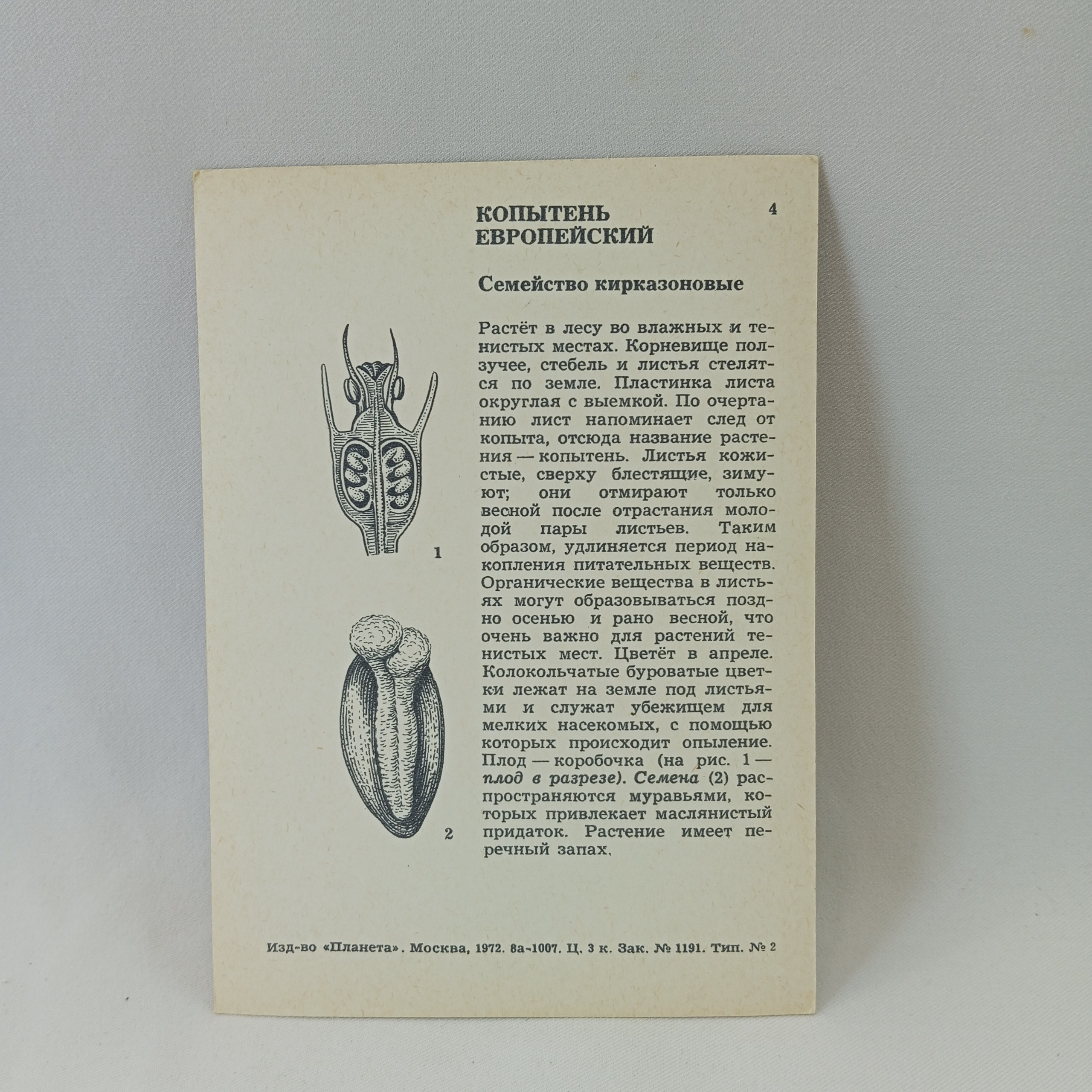 Картинка 2