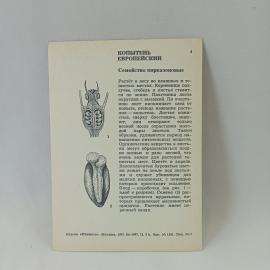 Картинка 2