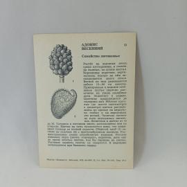 Картинка 2